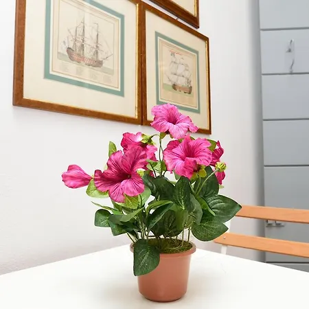 Apartamento Sissi Venecia